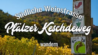 Pfälzer Keschdeweg  Etappe 2 Annweiler bis Albersweiler  Wandern Südliche Weinstraße [upl. by Eesyak]