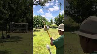 Testing my Osage recurved bow [upl. by Aneehsit]