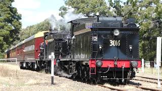 Australian Trains Steam Locos 2705 amp 3016 at Buxton [upl. by Ahsoyem]