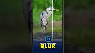 Achieve Pro DSLR Lens Blur in Photoshop  Quick amp Easy Tutorial 312 [upl. by Neerroc]