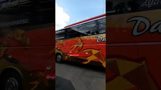 Bus Dali Mas busmania buspariwisata shorts shortvideo basuri telolet automobile viralshorts [upl. by Bethezel180]