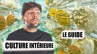 🍄 CULTURE des CHAMPIGNONS en INTÉRIEUR Le guide [upl. by Nealson]