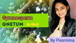 GnetumLife CycleGymnospermBy Poornima [upl. by Enyaj452]