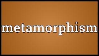 Metamorphism Meaning [upl. by Onitsuaf]