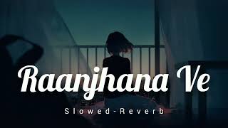 Raajhana ve Slowed and Reverb [upl. by Lyndes950]