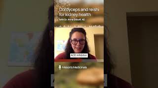 Cordyceps and Reishi for Kidney Health with Dr Anna Sitkoff ND [upl. by Betsy]