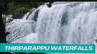 Thirparappu waterfalls  One day Trip പോകാൻ പറ്റിയ വെള്ളച്ചാട്ടം  family tour [upl. by Niwrad]