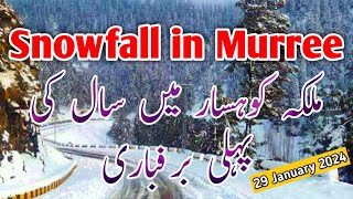 Snowfall in Murree Live 29 January 2024  Snowfall in Murree Today  Winter in Murree  Murree [upl. by Volny824]