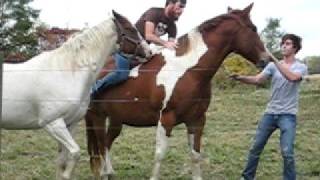 Dale Brown Horse Whisperer [upl. by Ydnal]