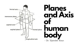 Planes and Axis in human body [upl. by Ylas887]