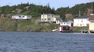 Herring Neck Notre Dame Bay Newfoundland [upl. by Smiley594]