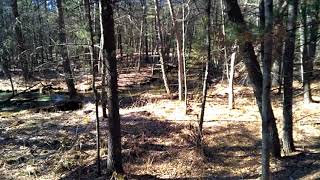 Free Camping in the Huron Manistee National Forest [upl. by Acisey494]