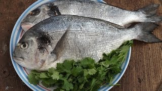 How To Prepare And Cook Sea BreamRecipe 1 [upl. by Merrielle854]