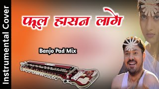 फूल हासन लागे  Ful Hasan Lage  Banjo Pad Mix  Cg Piano  Cg Song [upl. by Florine]