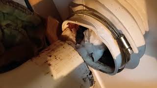 How to unblock a toilet macerator saniflo that wont flush Grundfos Sololift2 [upl. by Atrebla987]