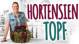 HORTENSIEN TOPF  FÜR INNEN UND AUßEN  DIY [upl. by Eldreeda337]