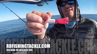 Destin FL Offshore fishing SLAY FEST [upl. by Nasah]