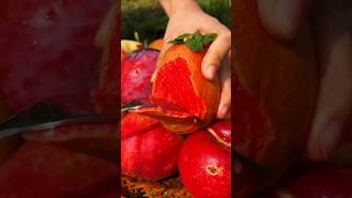 Enjoy beautiful dried persimmon fruits 🥝🍎🍓🍇🥭🥑🍊🥰shorts nature fruit garden foryou viralvideos [upl. by Eedrahc]