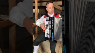 DOMINO accordion shorts frenchmusic [upl. by Allen]