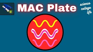 Macconkey Agar Test  MAC Plate Procedure Microbiology Lab [upl. by Figueroa692]