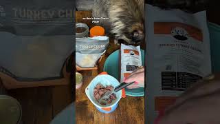 Raw Cat Food  Feed My Maine Coon Cat  Raw Cat Food Diet  Maine Coon shorts cat catfood [upl. by Japha]