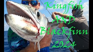 2024 Fall Kingfish season Blackfin tuna Red snapper [upl. by Fedora688]