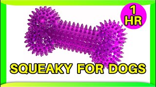 Squeaky toy sounds 1 hour dogs [upl. by Selry452]