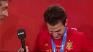 Cesc Fabregas interview after Spain win the World Cup for the first time Spain 1 Holland 0 [upl. by Rep]