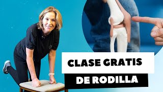 FISIOTERAPIA DE RODILLA [upl. by Abbot]