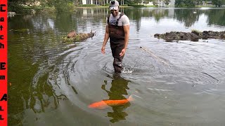 CATCHING ESCAPED Neighbors FISH in FLOODED STREET [upl. by Tully783]