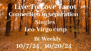 ♌️ Leo ♍️ Virgo cusp love reads🍁Trying to figure out if you are the one🍁 [upl. by Maybelle]