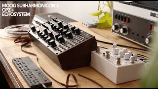 MOOG SUBHARMONICON Ambient jam with OPz and Echosystem [upl. by Ytsud760]