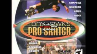 09 The Vandals  EuroBarge Tony Hawk Pro Skater Soundtrack [upl. by Fretwell]