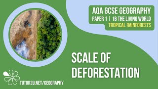 Scale of Deforestation  AQA GCSE Geography  Tropical Rainforests 3 [upl. by Tekcirk862]