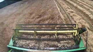 Combining Triticale Livestream [upl. by Buell213]