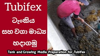 Tank and Growing Media Preparation for Tubifex Worms Sewage Sludge Worms tubifex fishfeed 🐛🐟 [upl. by Celin757]