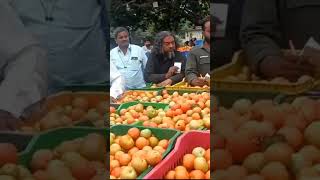 31082024 Today B Kothakota market Tomato rate [upl. by Artur]