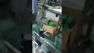 Bottle neck bander automaticpackaging machine [upl. by Yoral358]