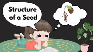 Structure of Seed Science for Kids Parts of a Seed [upl. by Htrahddis753]