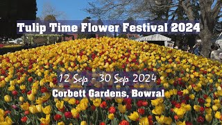 Tulip Time Flower Festival 2024 [upl. by Dole]