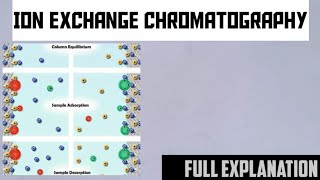 Ion exchange chromatography In hindi and english [upl. by Attelrak961]