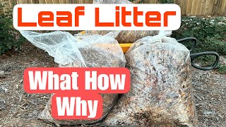 Leaf Litter  What How amp Why  Gardening Mindfully leaflitter healthysoil leafcompost [upl. by Berns]