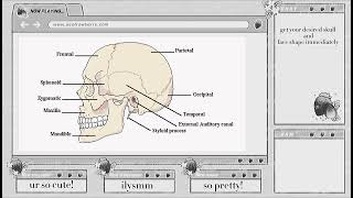 desired skull and face shape subliminal [upl. by Anahgem711]