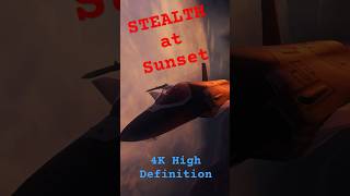 STEALTH at Sunset 4k shorts stealth aviation military technology edit [upl. by Catherina]