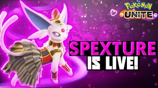 Chaat Se Marte Haina Bantai 👊🏻  Spexture Is Live  Playing Pokemon Unite [upl. by Ecirtra261]