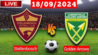 Stellenbosch vs Golden Arrows  PSL  Live Match Fifa Score Today 2024 [upl. by Pascoe]