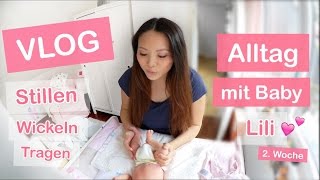 ALLTAG MIT BABY 2 WOCHEN ALT  STILLEN WICKELN TRAGEN  FAMILIEN VLOG  Mamiseelen [upl. by Nalehp]