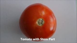 iWaves Altera Cyclone V SoC Development kit for Sorting of Tomatoes [upl. by Mayes]