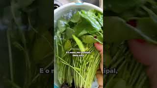 RECEITA de SUCO SAUDÁVEL para TRATAR DEPRESSÃO e ANSIEDADE  Carina Palatnik [upl. by Shamrao755]