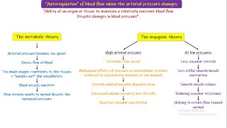 Metabolic Theory Myogenic Theory Chapter 17 part 5 Guyton and Hall Physiology [upl. by Pomfrey]